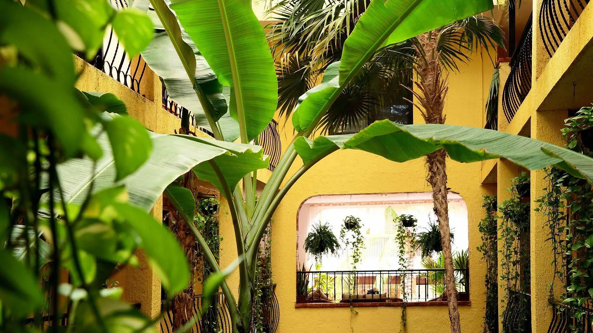 Hotel Hacienda Mariposa Плая-дель-Кармен