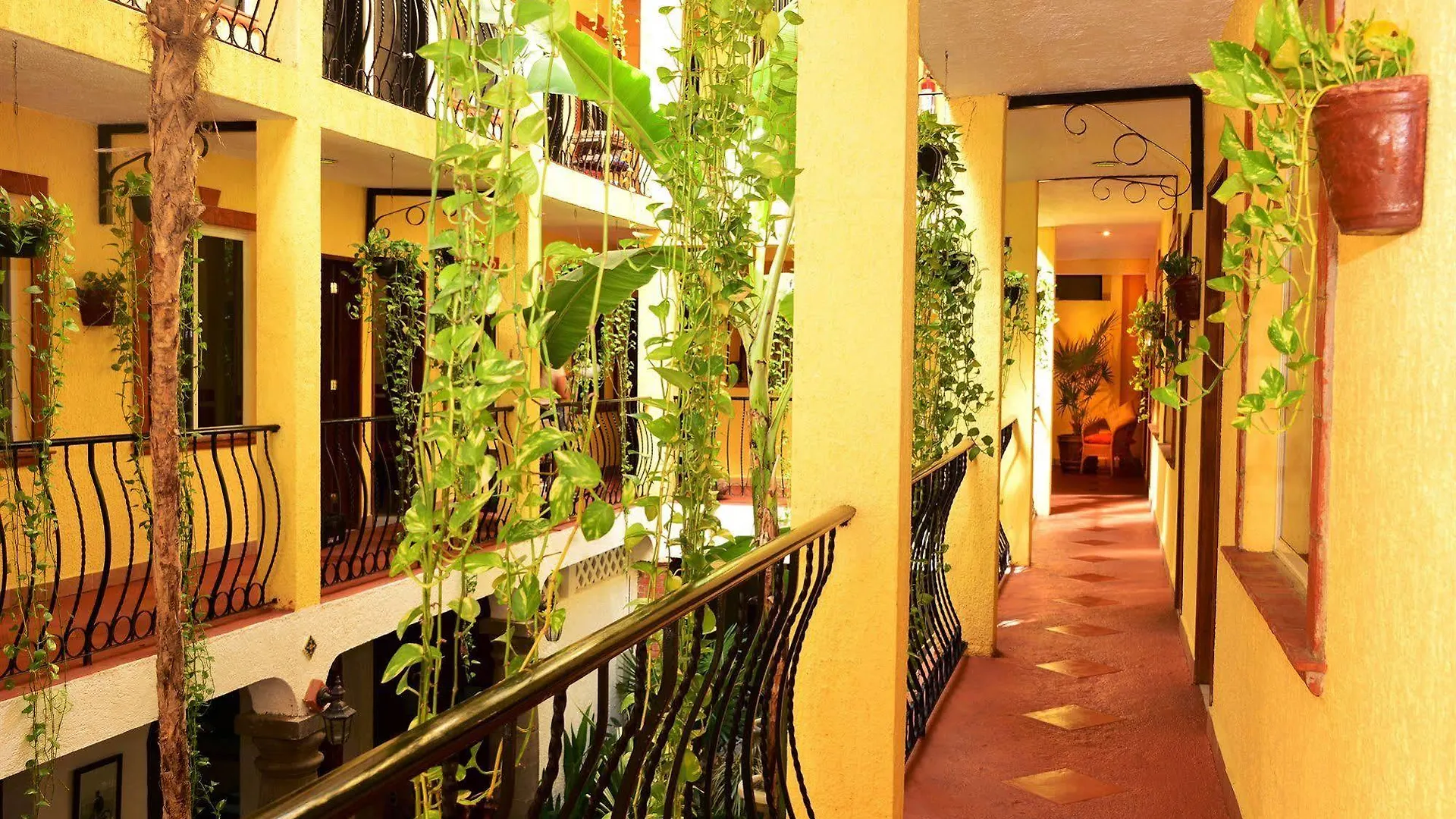 Hotel Hacienda Mariposa Плая-дель-Кармен 3*,